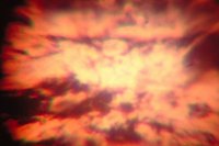 29130084.jpg