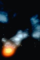 29120118.jpg