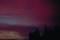 29120106.jpg