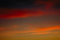 29120105.jpg