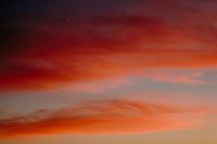 29120104.jpg