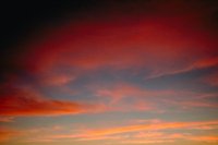 29120102.jpg