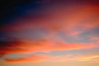 29120101.jpg