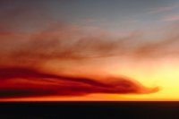 29120092.jpg