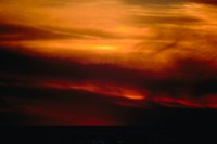 29120072.jpg