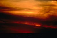 29120071.jpg