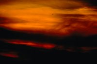 29120070.jpg