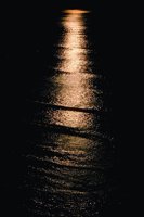 29190002.jpg