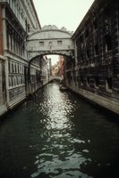 25920125.jpg