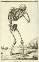 612472.JPG