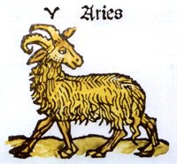 304108.JPG