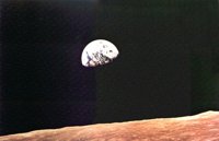 312037.JPG