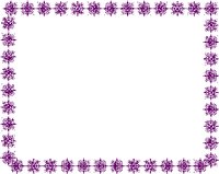 PURPFLAK.WMF