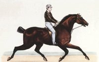 407315.JPG