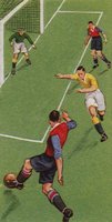 610466.JPG