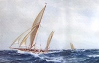 407112.JPG