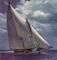 407110.JPG