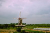25930127.jpg