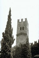 25920090.jpg