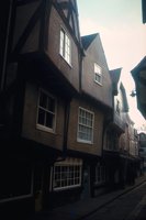 15170070.jpg