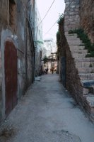 06330035.jpg