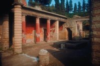 25920021.jpg