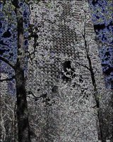 ART1366.jpg