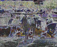 ART1360.jpg