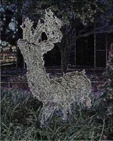 ART1413.jpg