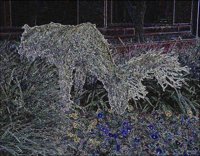 ART1412.jpg
