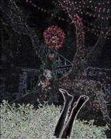 ART1403.jpg
