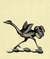 612604.JPG