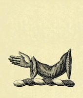 612597.JPG