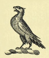 612582.JPG