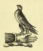 612572.JPG