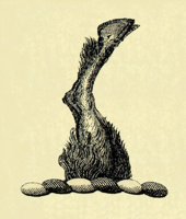 612570.JPG