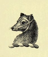 612505.JPG