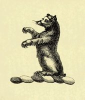 612482.JPG