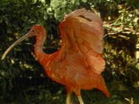 B47733.JPG