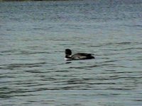B45814.JPG