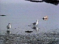 B44709.JPG