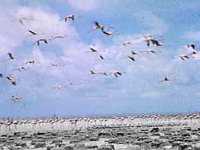 B10198.JPG