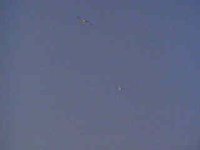 707300.JPG
