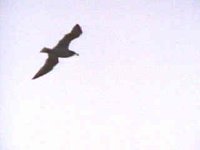703300.JPG
