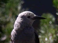 512600.JPG
