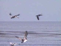 511900.JPG