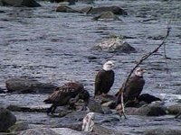 508700.JPG
