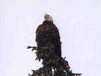 508600.JPG