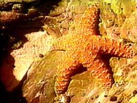 B40294.JPG