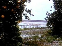 B42155.JPG